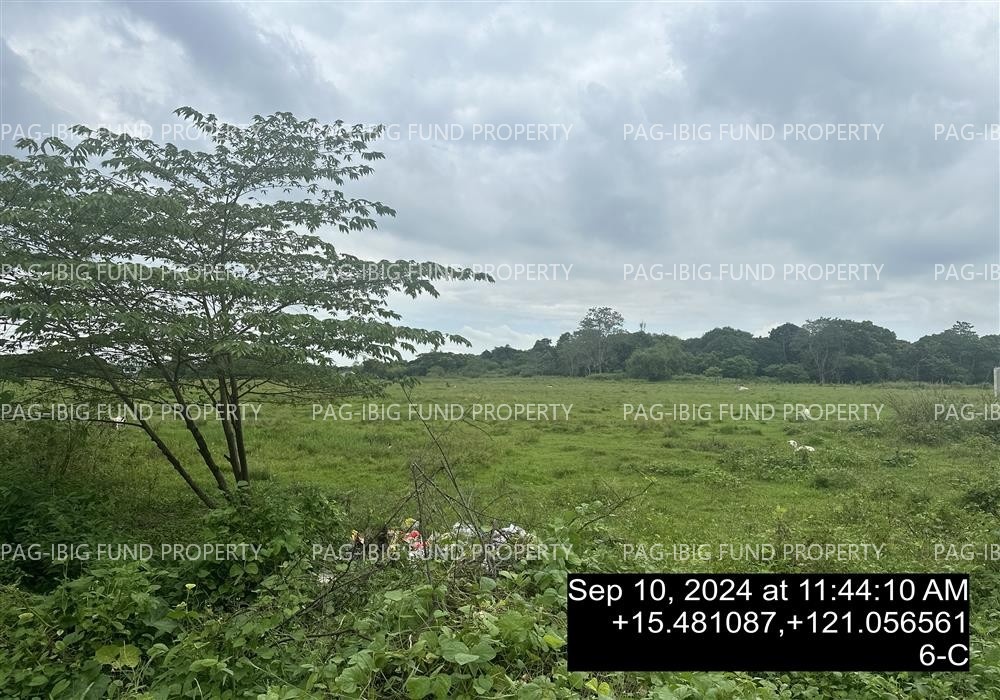 Image for Lot 6-C Non-Subdivision Kalikid Sur, Cabanatuan City, Nueva Ecija, 3100