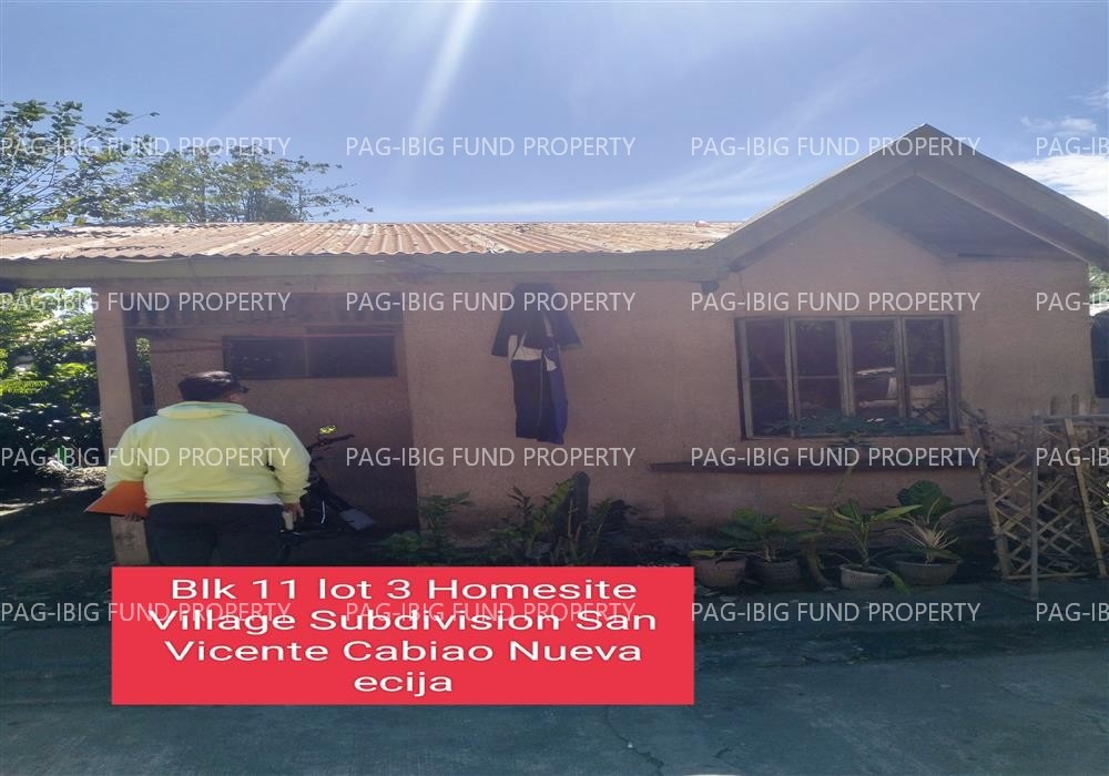 Image for Lot 3 Blk. 11 Homesite Village Subdivision San Vicente, Cabiao, Nueva Ecija, 3107