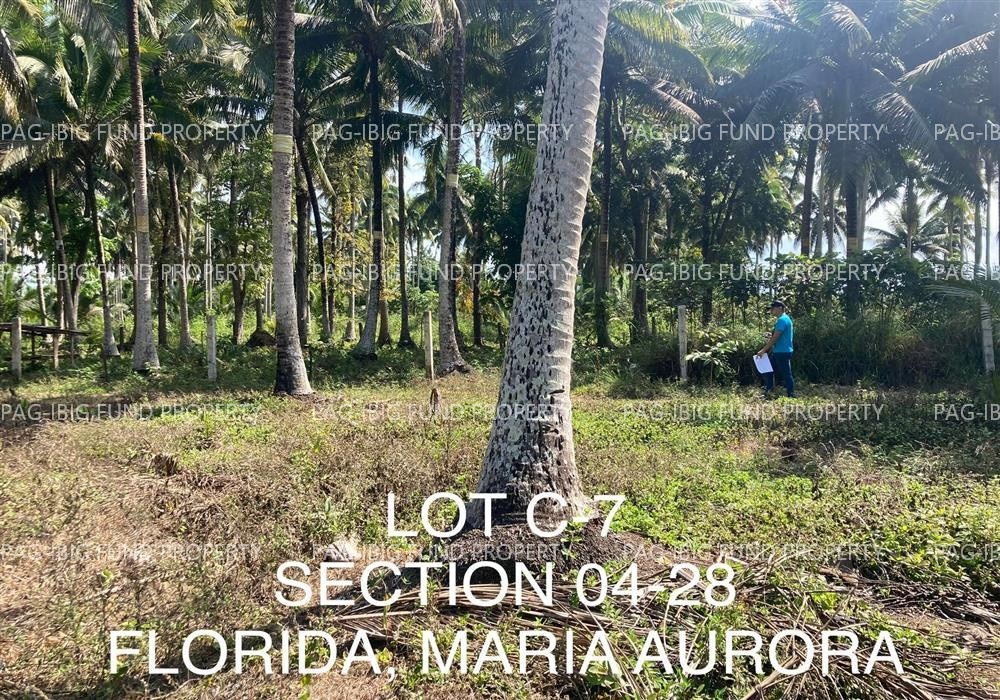 Image for Lot C-7 Non-Subdivision Florida, Maria Aurora, Aurora, 3202
