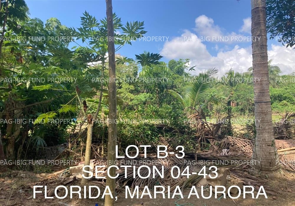 Image for Lot B-3 Non-Subdivision Florida, Maria Aurora, Aurora, 3202