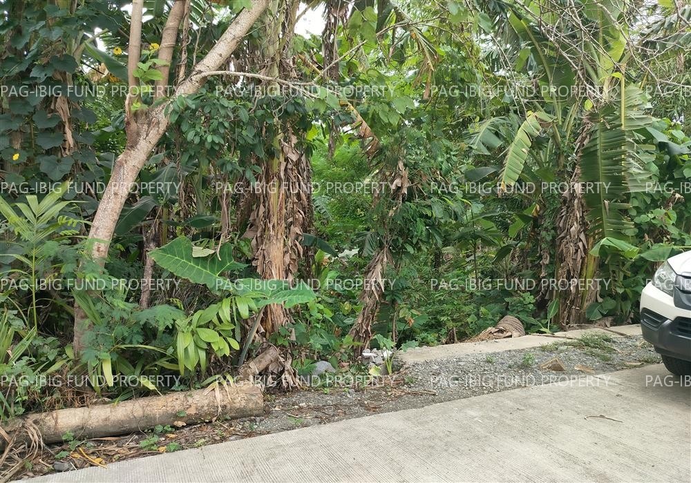 Image for Lot 1990-F-19 Non-Subdivision Poblacion, Maria Aurora, Aurora,