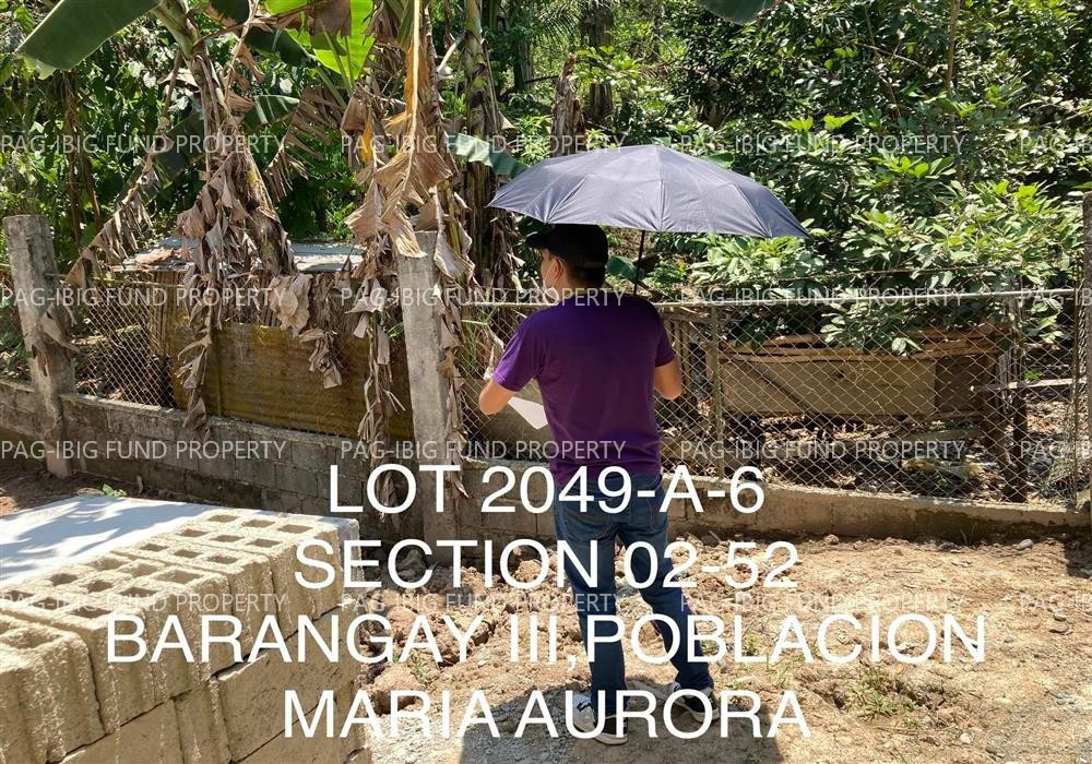 Image for Lot 2049-a-6 Non-Subdivision Barangay I (Pob.), Maria Aurora, Aurora, 3202