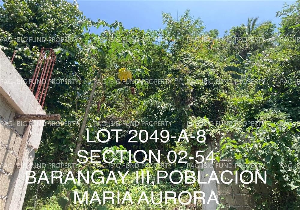Image for Lot 2049-a-8 Non-Subdivision Poblacion, Maria Aurora, Aurora,