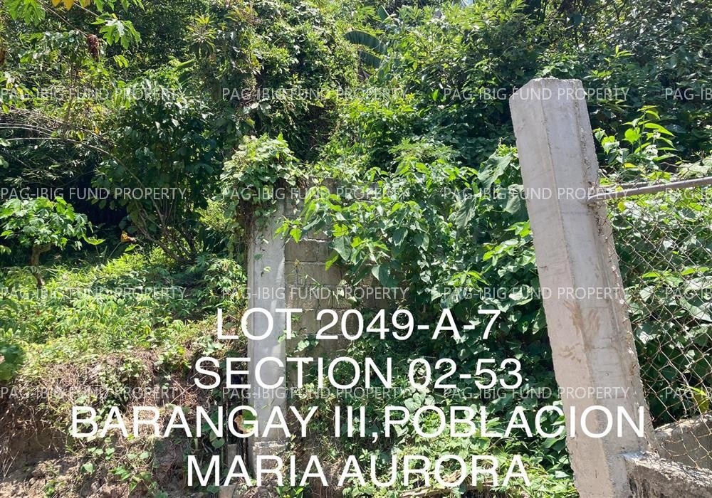 Image for Lot 2049-a-7 Non-Subdivision Barangay I (Pob.), Maria Aurora, Aurora, 3202