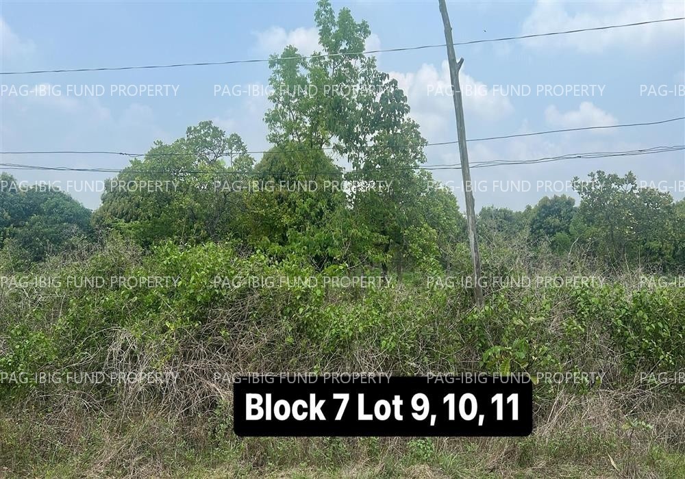 Image for Lot 9, 10 & 11 Blk. 7 Magsaysay Park Subdivision Kalikid Sur, Cabanatuan City, Nueva Ecija, 3100