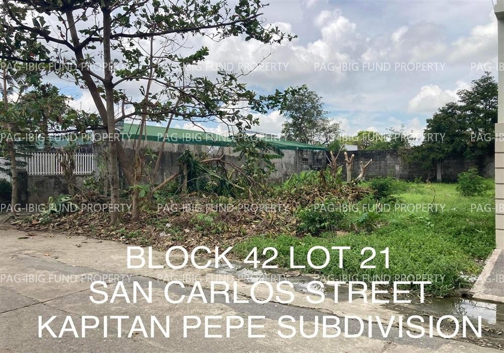 Image for Lot 21 Blk. 42 Kapitan Pepe Subdivision Kapitan Pepe (Pob.), Cabanatuan City, Nueva Ecija, 3100