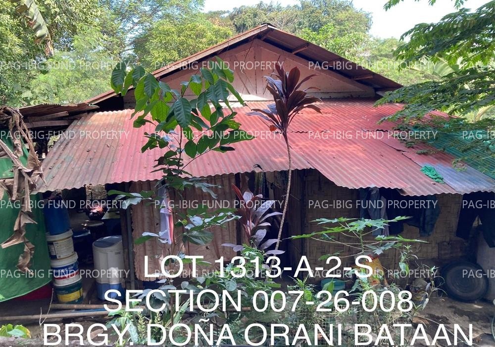 Image for Lot 1313-a-2-S Non-Subdivision Dona, Orani, Bataan, 2112