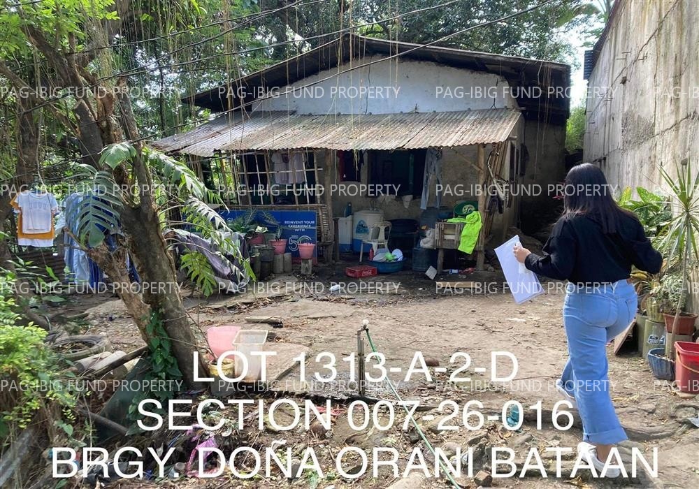 Image for Lot 1313-a-2-D Section Se Non-Subdivision Dona, Orani, Bataan, 2112