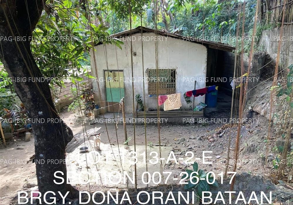 Image for Lot 1313-a-2-E Section Se Non-Subdivision Dona, Orani, Bataan, 2112