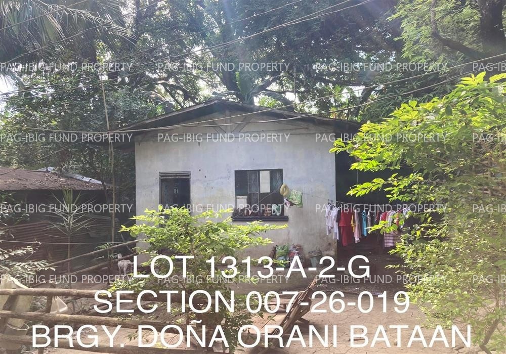 Image for Lot 1313-a-2-G Section Se Non-Subdivision Dona, Orani, Bataan, 2112