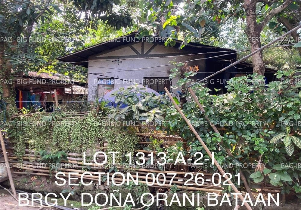 Image for Lot 1313-a-2-I Section Se Non-Subdivision Dona, Orani, Bataan, 2112