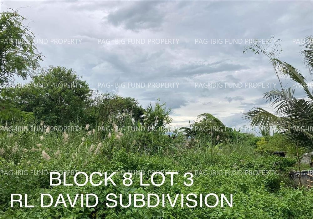 Image for Lot 3 Blk. 8 Rl David Subdivision Culis, Hermosa, Bataan, 2111