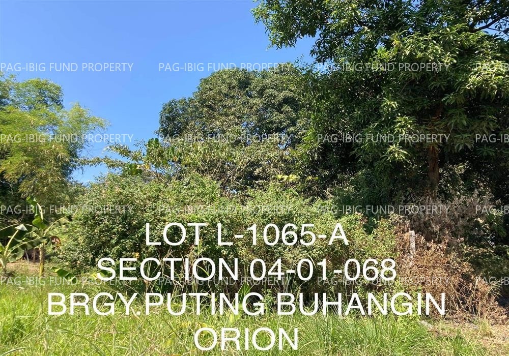 Image for Lot 1065-A Section Se NON-SUBDIVISION Puting Buhangin, Orion, Bataan, 2102