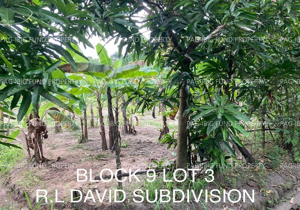 Image for Lot 3 Blk. 9 Rl David Subdivision Culis, Hermosa, Bataan, 2111