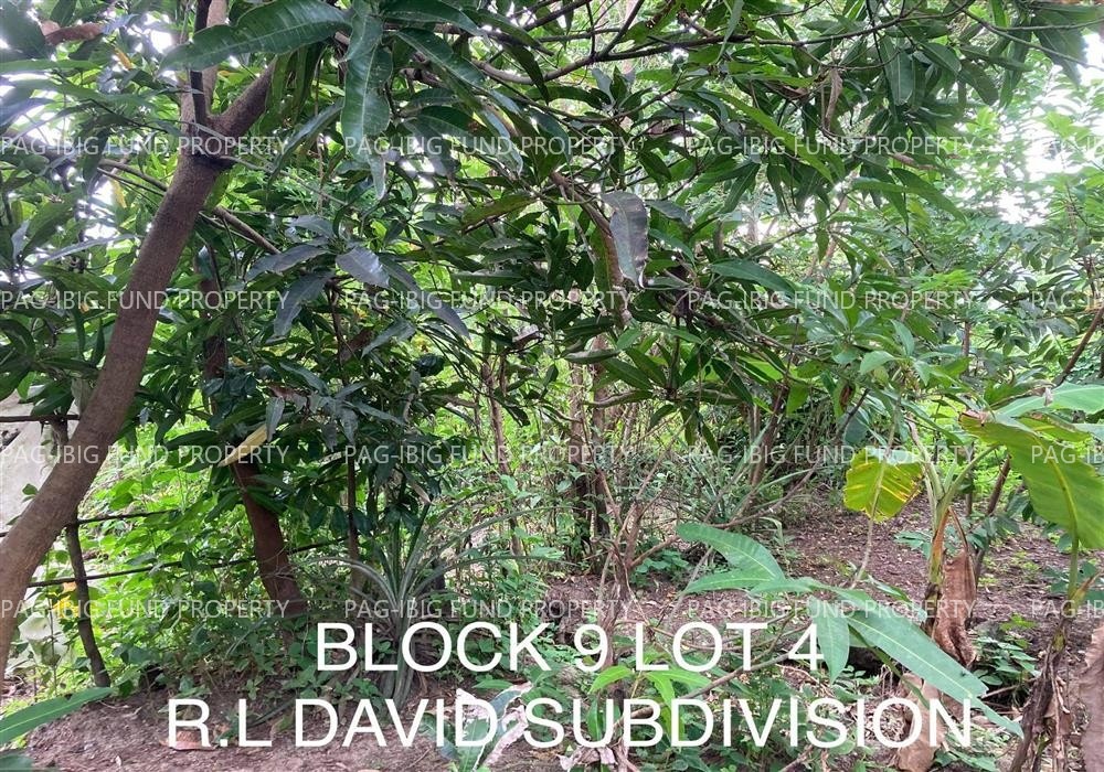 Image for Lot 4 Blk. 9 Rl David Subdivision Culis, Hermosa, Bataan, 2111