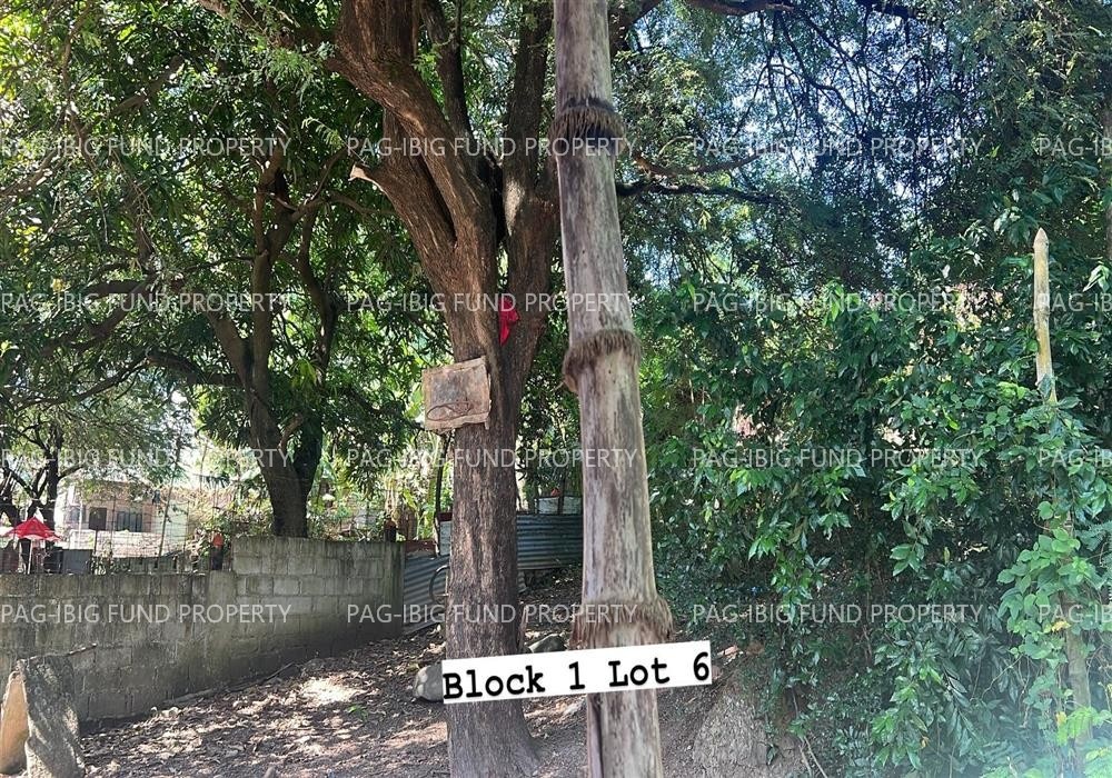 Image for Lot 6 Blk. 1 Masagana Village Bayan (Pob.), Orani, Bataan, 2112