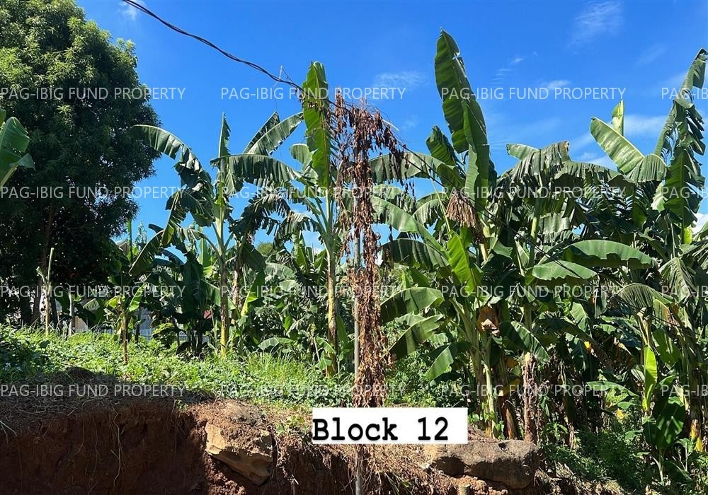 Image for Lot 12 Blk. 12 Dona Adela Homes Mt. View, Mariveles, Bataan,