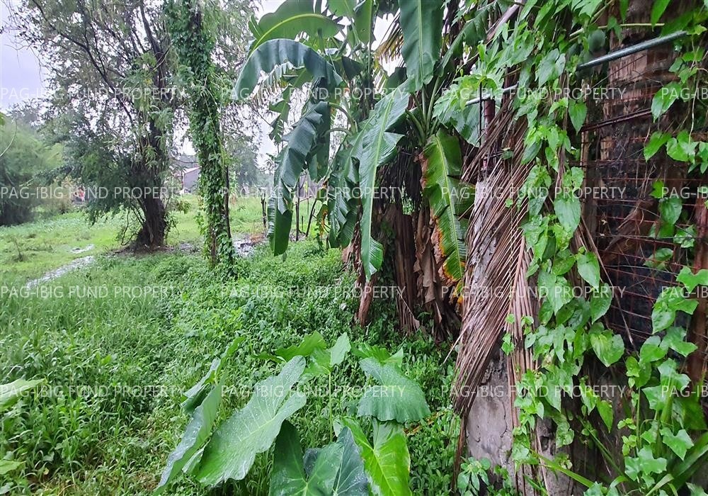 Image for Lot 12 Blk. 05 Lucena Motorpool Village Mayao Crossing, Lucena City, Quezon, 4301