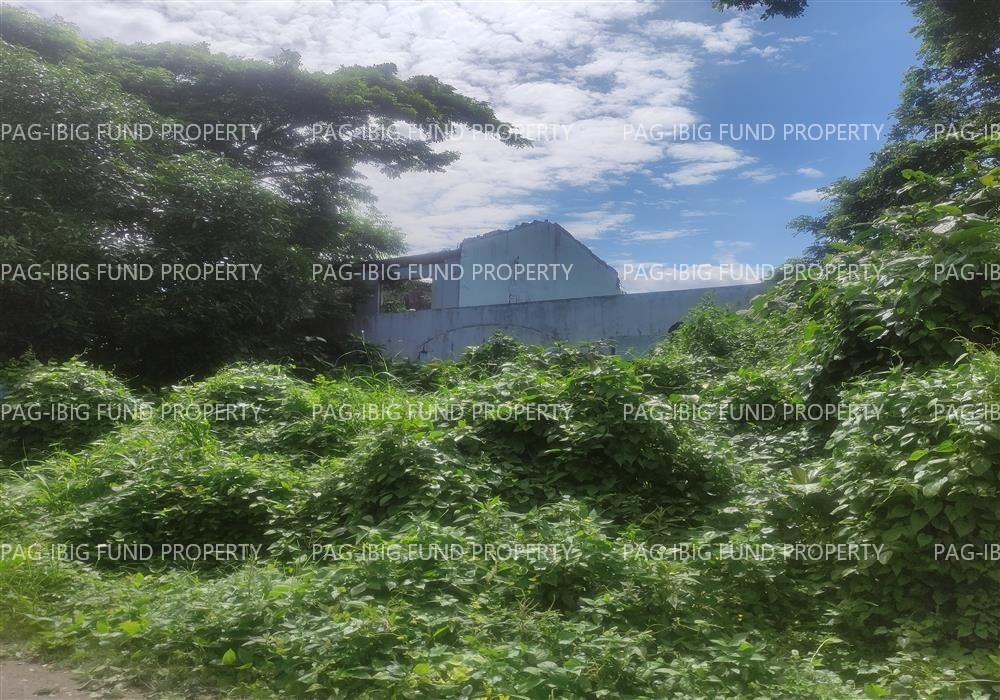 Image for Lot (3)-1-B-9-C & (3 Villa Del Garces Subdivision Lusacan, Tiaong, Quezon, 4325