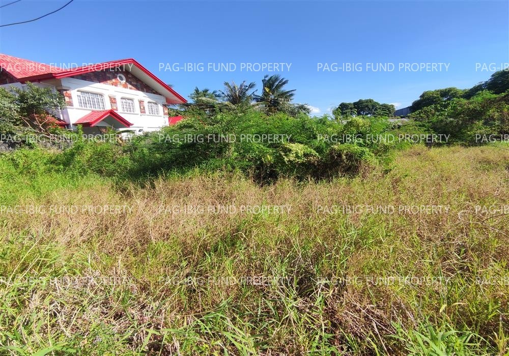 Image for Lot 2-E-2-B-2-a-2 Non Subdivision Labangan Poblacion, San Jose, Occidental Mindoro, 5100