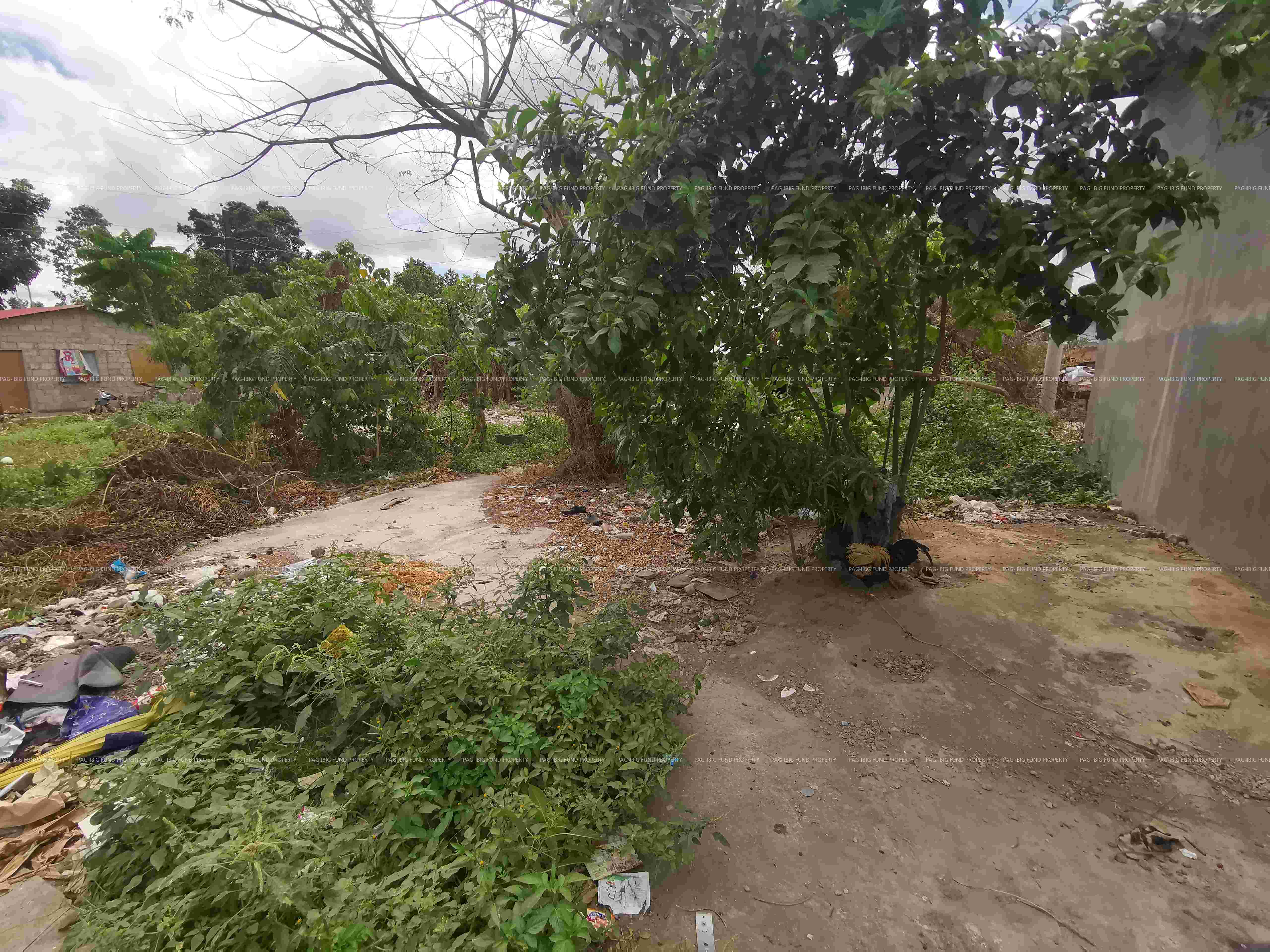 Image for Lot 8 Blk. 7 First World Homes Anilao, Lipa City, Batangas, 4217