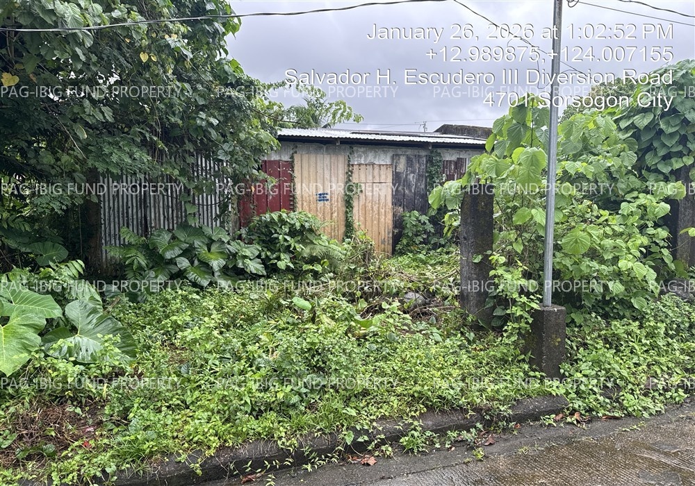 Image for Lot 10 Blk. 11 Rosville Subdivision Bibincahan, Sorsogon City, Sorsogon, 4700