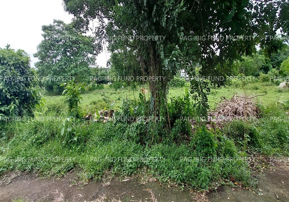 Image for Lot 11 Blk. 04 El Refugio Village Pangpang, Sorsogon City, Sorsogon, 4700