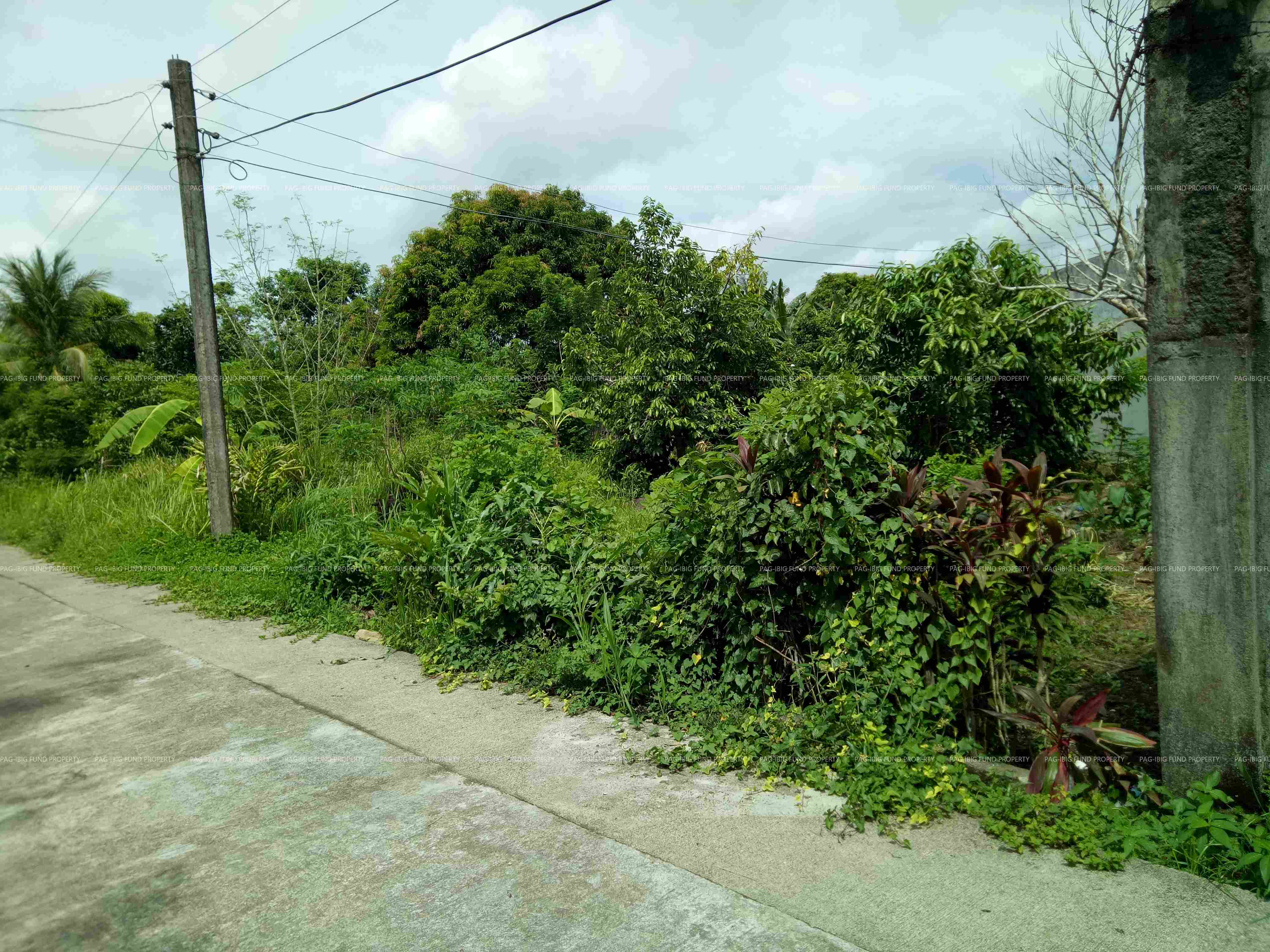 Image for Lot 02 Blk. 01 Hedville Subdivision Cogon, Juban, Sorsogon, 4703