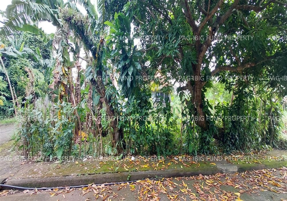 Image for Lot 01 Blk. 04 El Refugio Subdivision Pangpang, Sorsogon City, Sorsogon, 4700