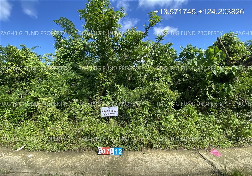 Image for Lot 12 Blk. 07 Our Lady's Village Subdivision Cavinitan, Virac (Capital), Catanduanes, 4800