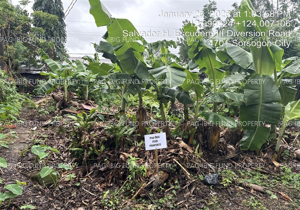 Image for Lot 14 Blk. 11 Rosville Subdivision Bibincahan, Sorsogon City, Sorsogon, 4700