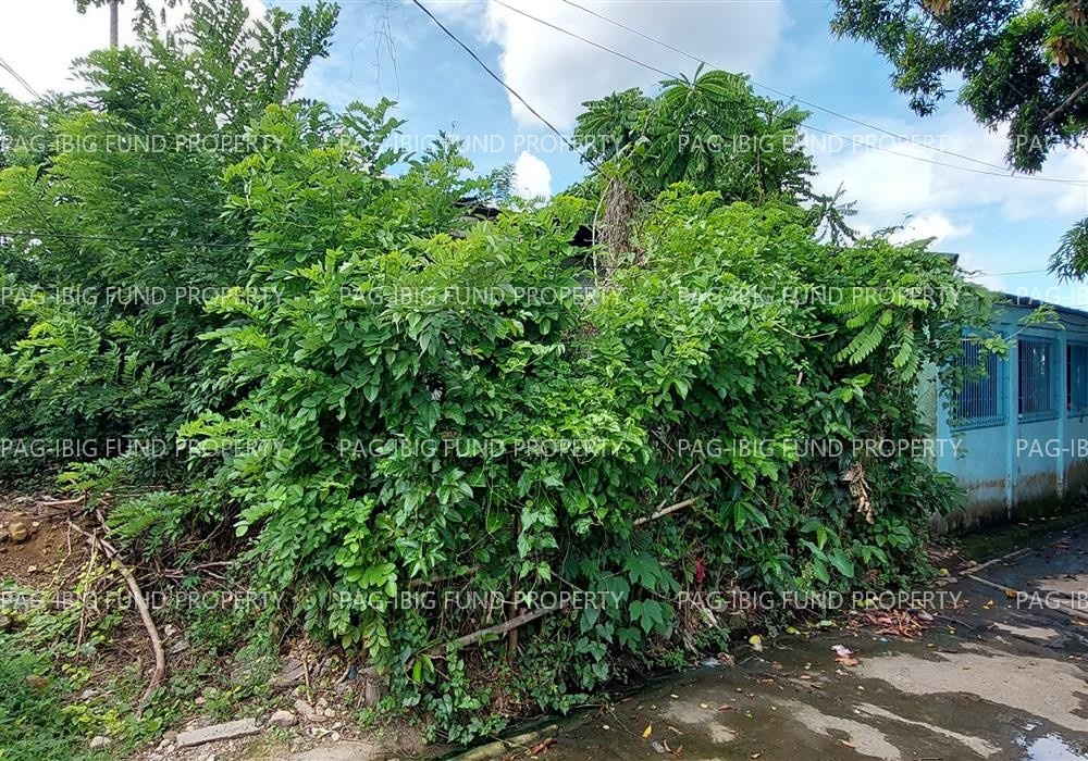 Image for Lot 08 Blk. 21 Imperial Ridgeview Subd. Pangpang, Sorsogon City, Sorsogon, 4700