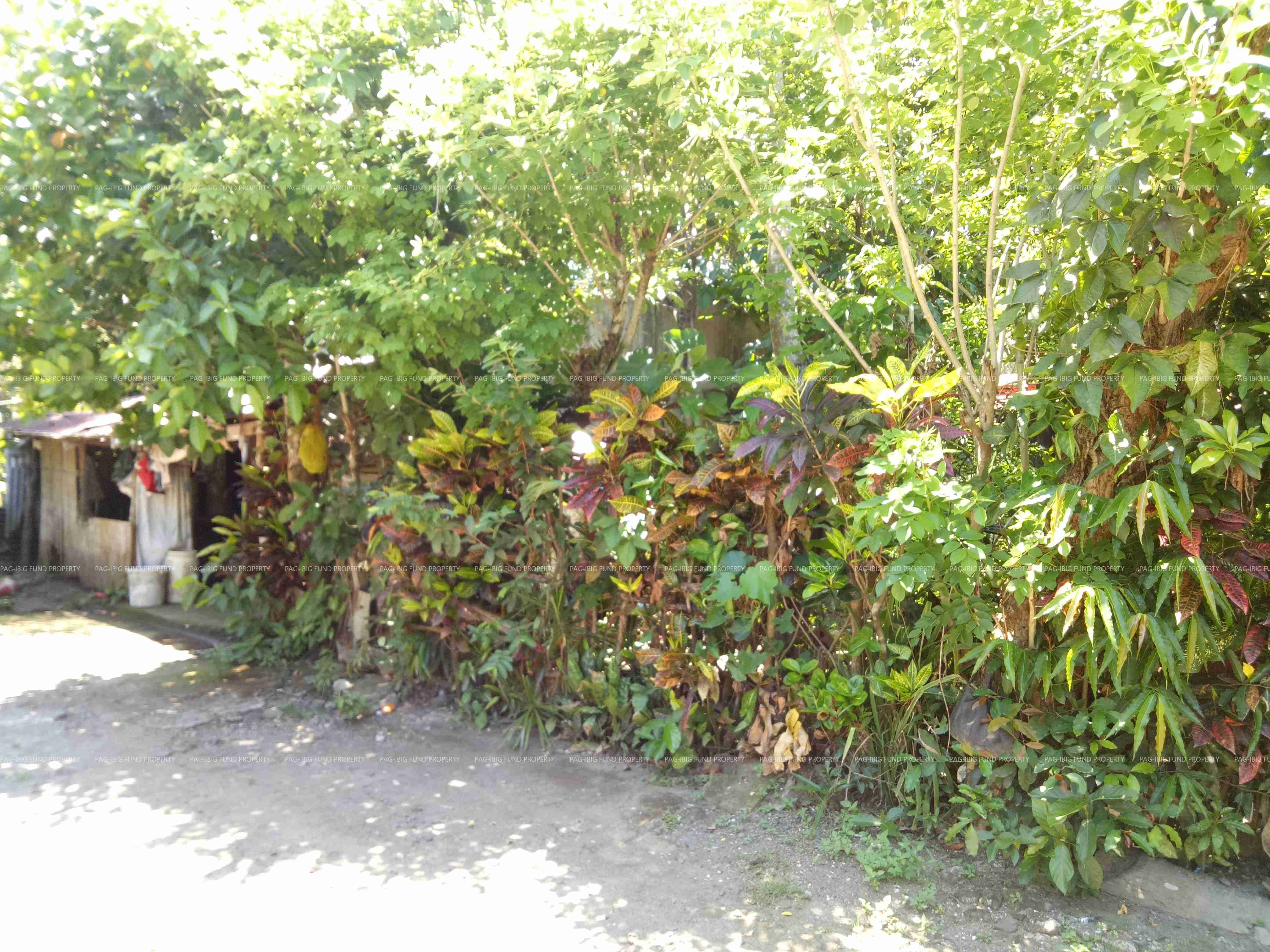 Image for Lot 03 Blk. 05 Holy Gate Homes II Cambulaga, Sorsogon City, Sorsogon, 4700