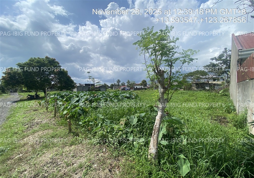 Image for Lot 16 Blk. 23 Imperial Modern Village San Jose, Pili (Capital), Camarines Sur, 4418