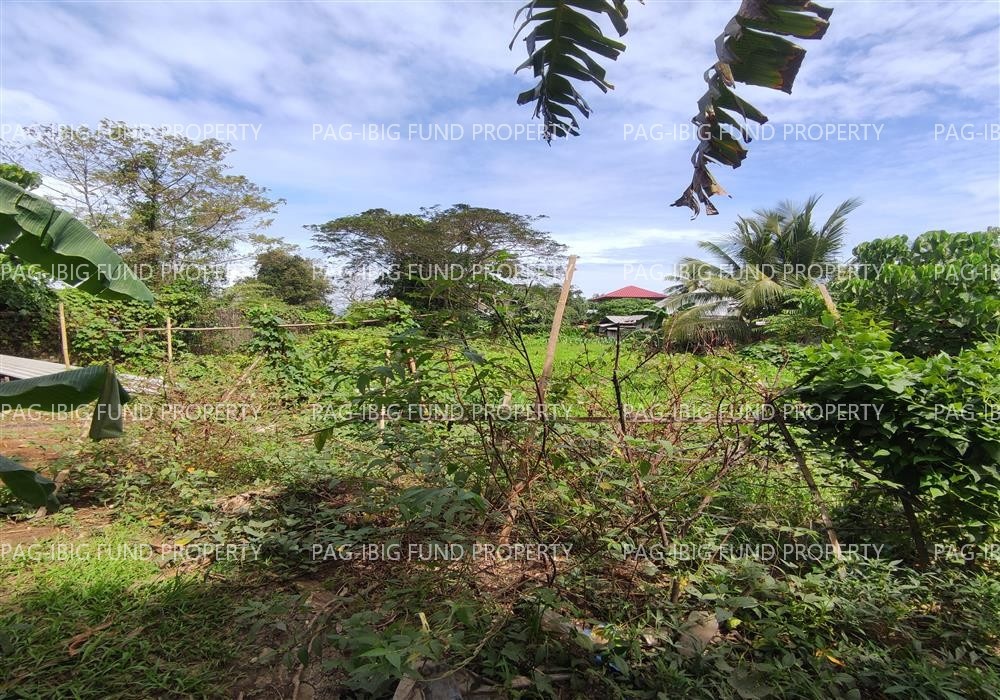 Image for Lot 8-a-2-B-5-a-1 Blk. - Non Subdivision San Manuel, Puerto Princesa City, Palawan, 5300