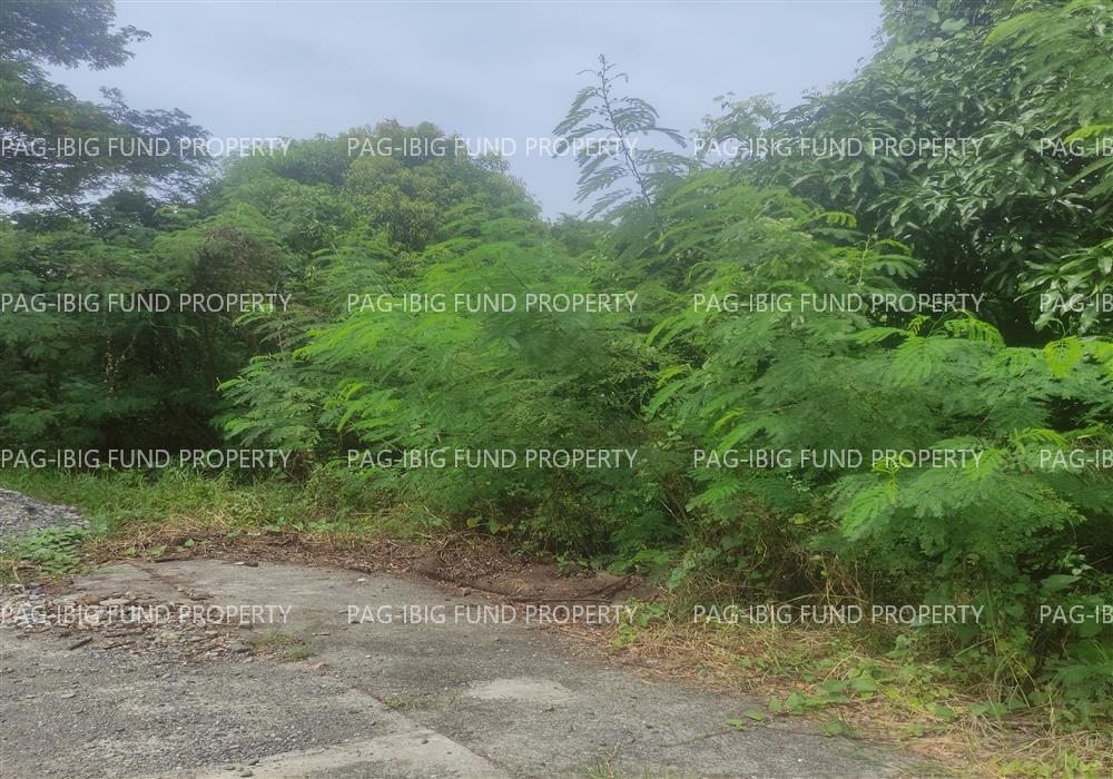 Image for Lot 7 Blk. 14 Phase - Section - Augustus Exclusive Estate Mabini, San Jose, Occidental Mindoro, 5100