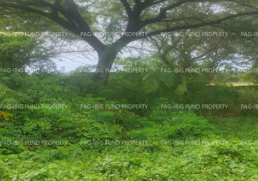 Image for Lot 9 Blk. 14 Phase - Section - Augustus Exclusive Estate Mabini, San Jose, Occidental Mindoro, 5100