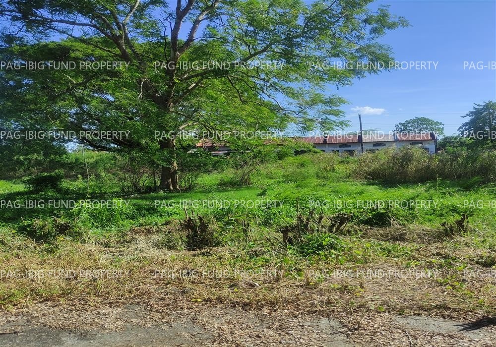 Image for Lot 7 Blk. 13 Phase - Section - Augustus Exclusive Estate Mabini, San Jose, Occidental Mindoro, 5100