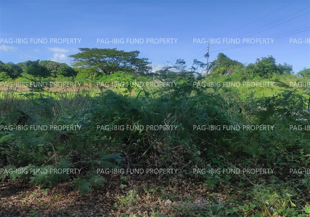 Image for Lot 2 Blk. 13 Augustus Exclusive Estate Mabini, San Jose, Occidental Mindoro, 5100