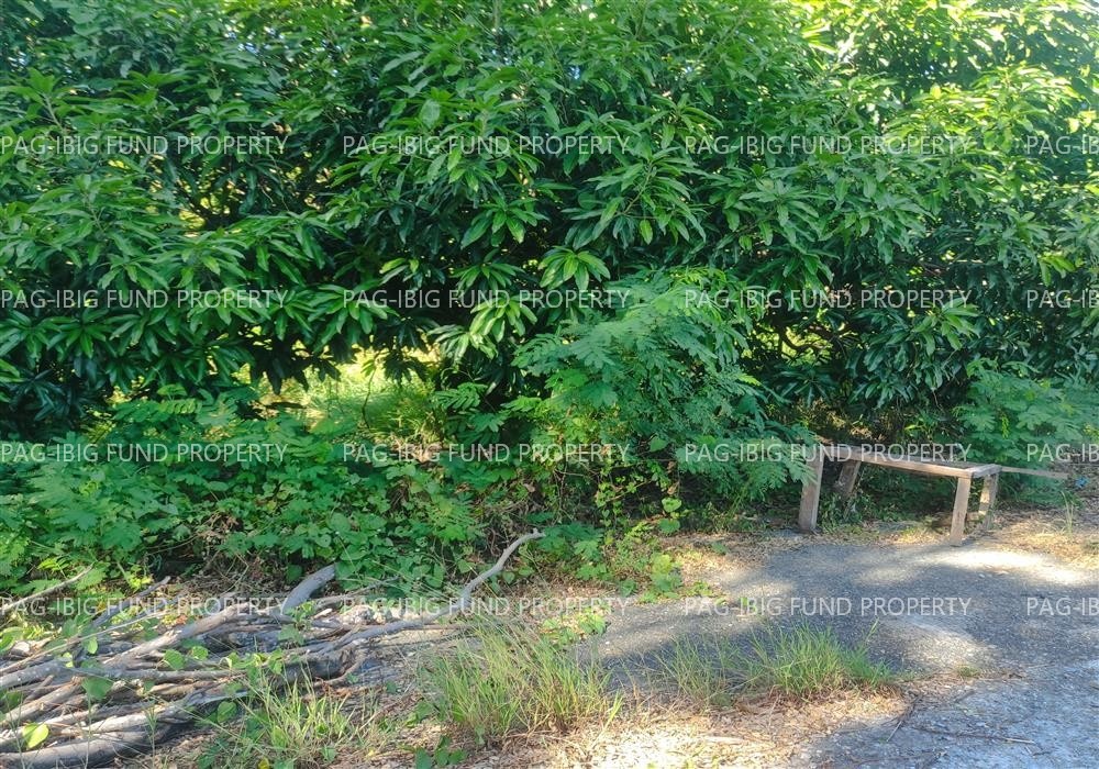 Image for Lot 8 Blk. 14 Phase - Augustus Exclusive Estate Mabini, San Jose, Occidental Mindoro, 5100