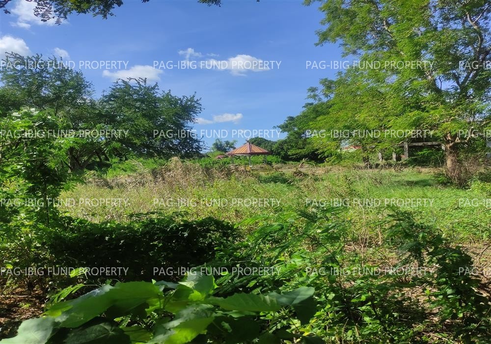 Image for Lot 8 Blk. 13 Phase - Augustus Exclusive Estate Mabini, San Jose, Occidental Mindoro, 5100