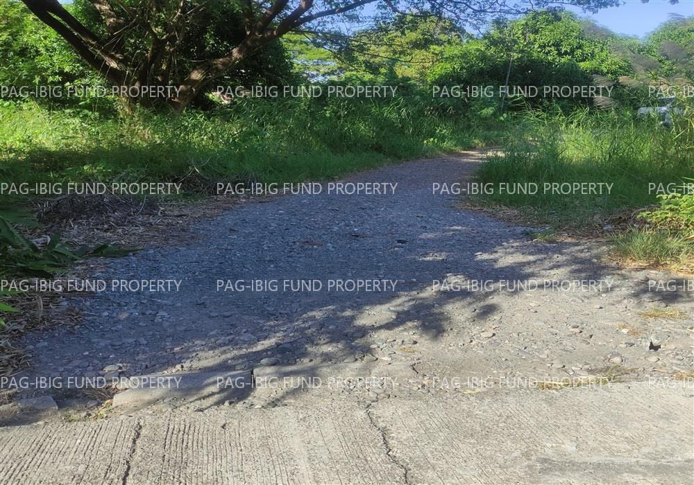 Image for Lot 18 Blk. 15 Phase - Augustus Exclusive Estate Mabini, San Jose, Occidental Mindoro, 5100