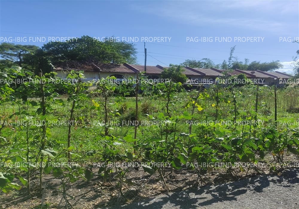 Image for Lot 15 Blk. 15 Phase - Augustus Exclusive Estate Mabini, San Jose, Occidental Mindoro, 5100