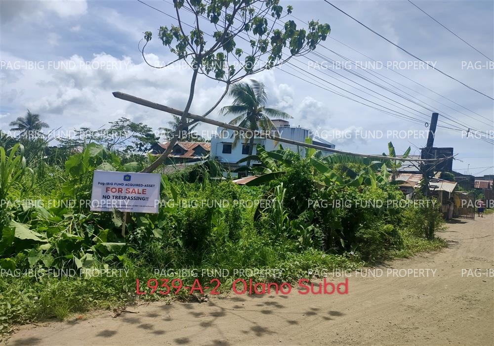 Image for Lot 939-a-2 Blk. Psd-06-058801 Olano Subdivision Mongpong, Roxas City, Capiz, 5800