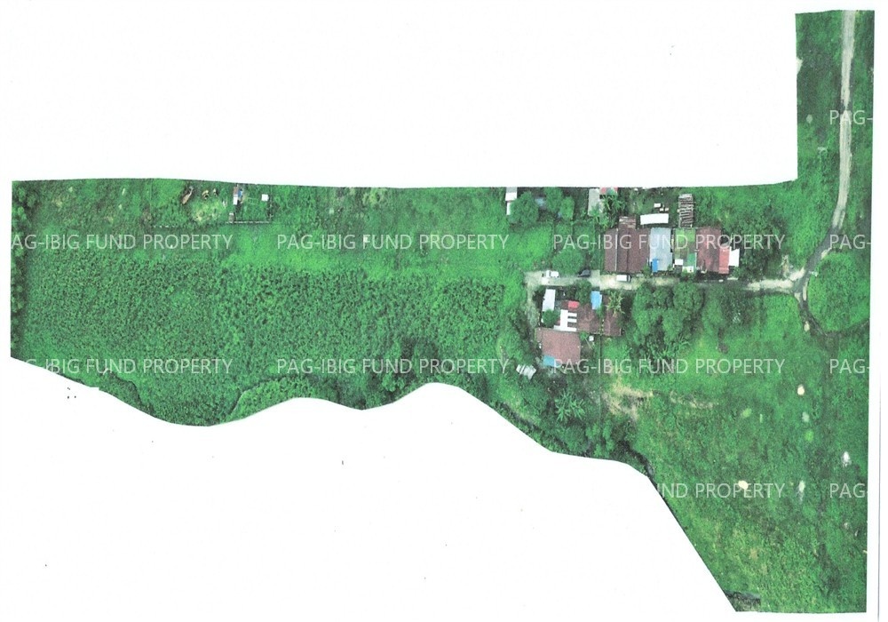 Image for Lot 6 Blk. 9 Roseville Heights Subdivision Jorge L. Araneta (Ma-Ao Central), Bago City, Negros Occidental, 6101