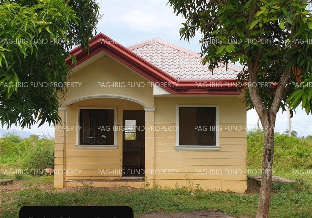 Image for Lot 6 Blk. 6 Peter Homes Subdivision Bio-Os, Amlan (Ayuquitan), Negros Oriental, 6203