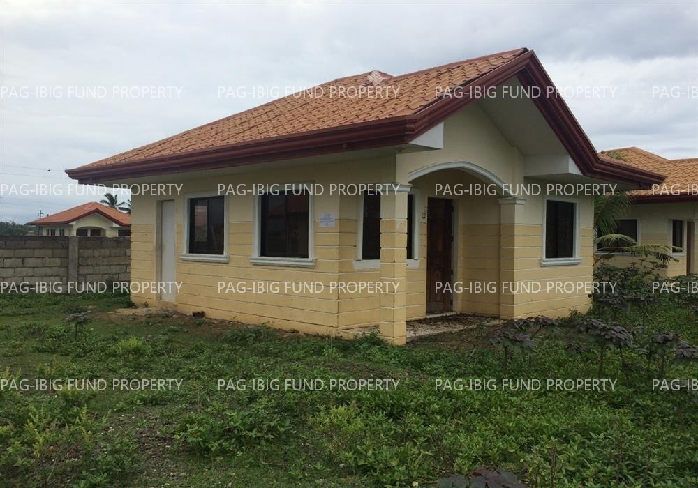 Image for Lot 2 Blk. 4 Peter Homes Subdivision Bio-Os, Amlan (Ayuquitan), Negros Oriental, 6203