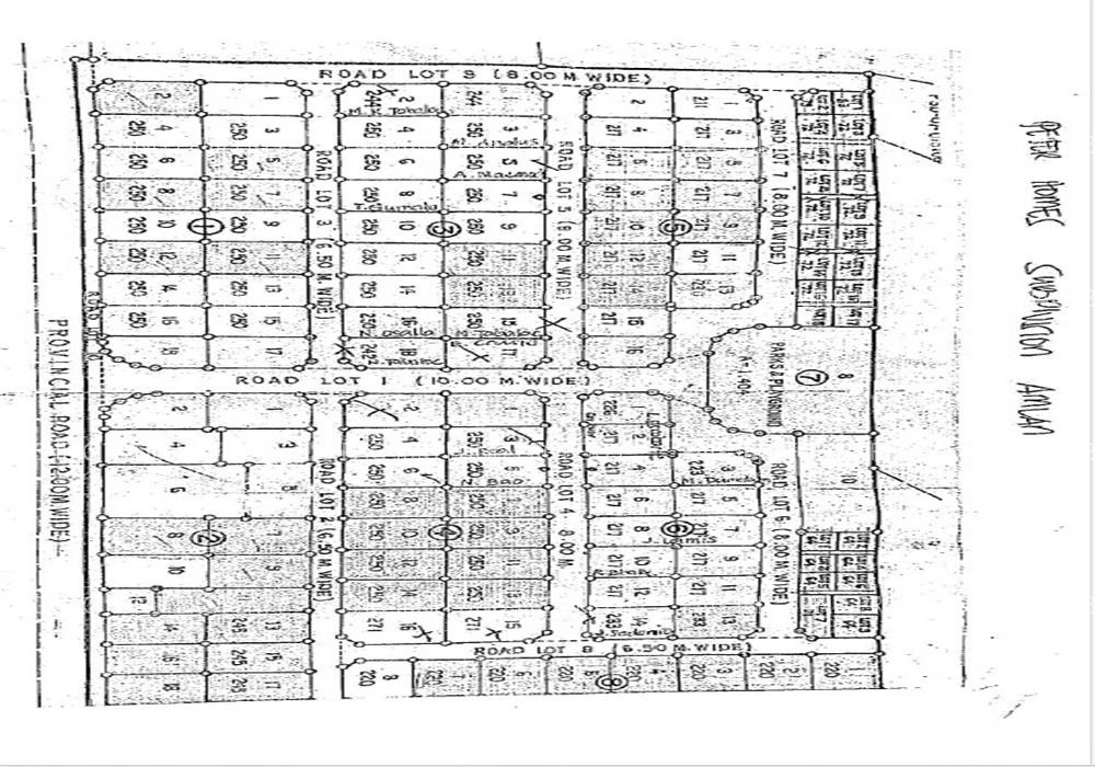 Image for Lot 8 Blk. 8 Peter Homes Subdivision Bio-Os, Amlan (Ayuquitan), Negros Oriental, 6203
