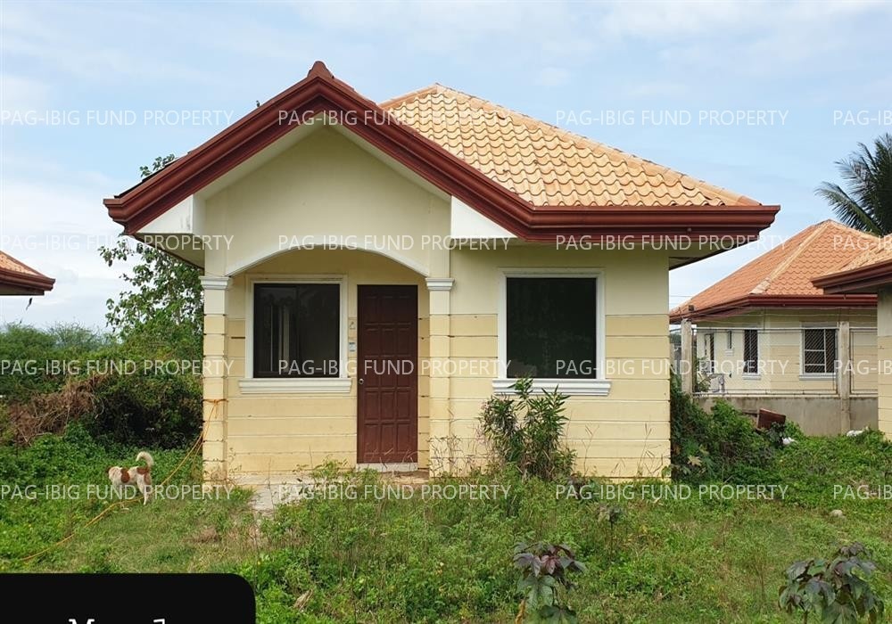 Image for Lot 4 Blk. 3 Peter Homes Subdivision Bio-Os, Amlan (Ayuquitan), Negros Oriental, 6203