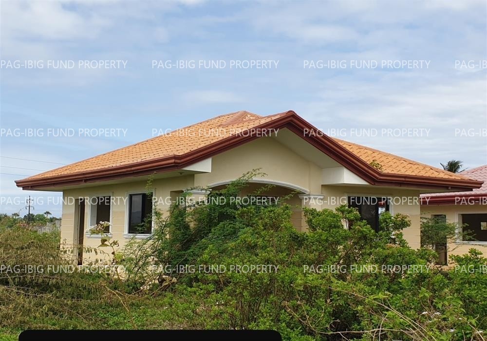 Image for Lot 2 Blk. 6 Peter Homes Subdivision Bio-Os, Amlan (Ayuquitan), Negros Oriental, 6203